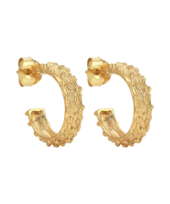 Zoe and Morgan Mini Komodo Gold Earrings