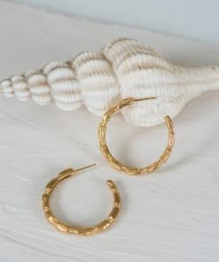 Zoe and Morgan Alor Gold Hoops
