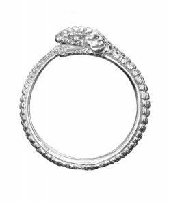 Zoe and Morgan Silver Eternity Snake Ring